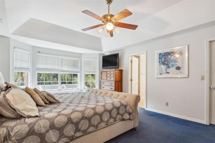 Owner's suite with tray ceilings and beautiful bay window.