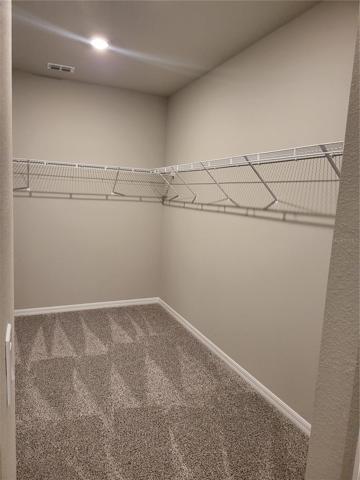 Master Closet