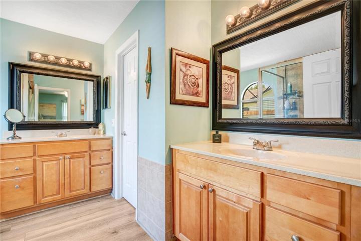 Owner's Ensuite-Walk-in Closet.