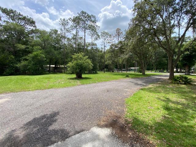 Front yard
