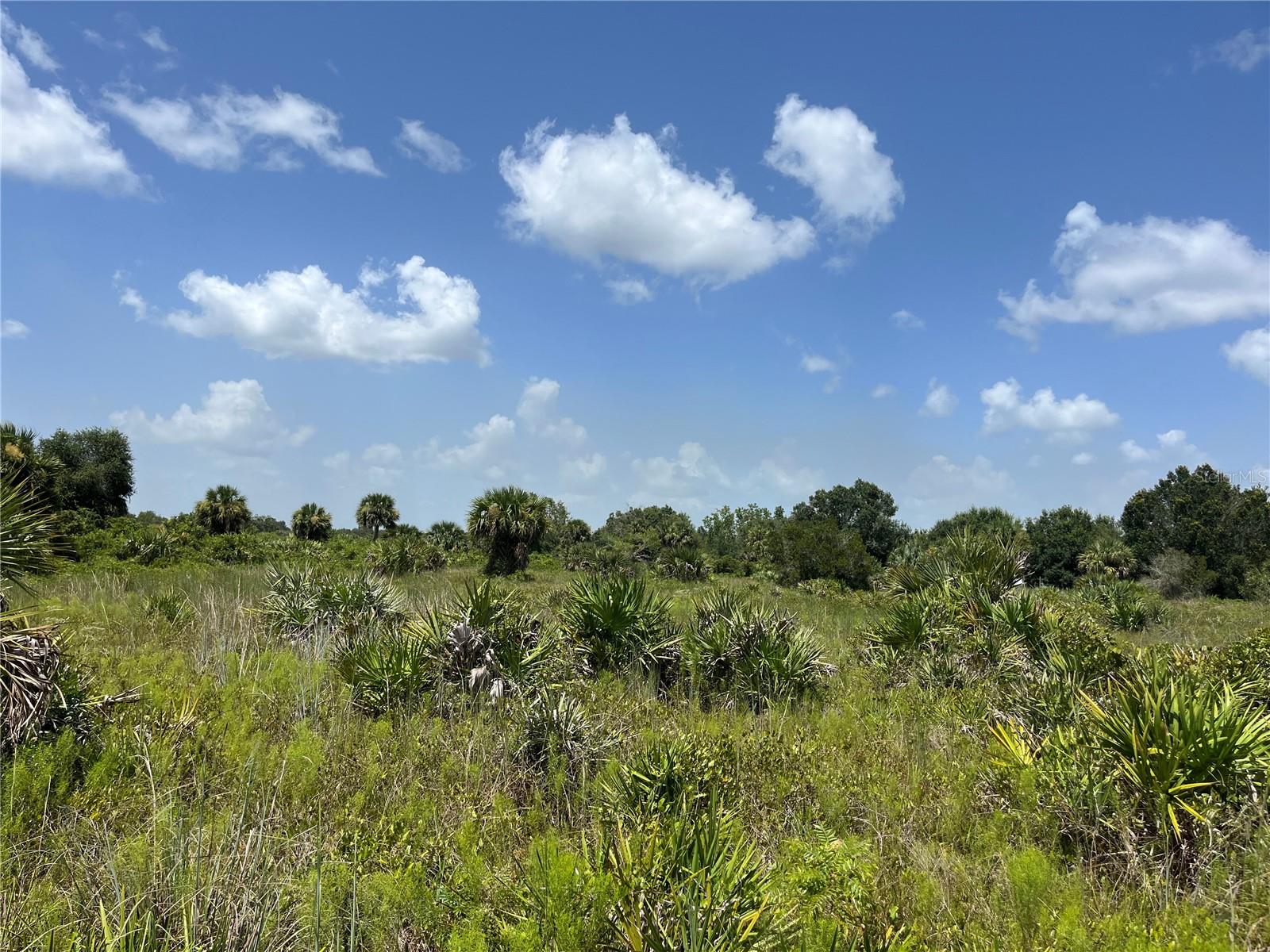 Okeechobee, Florida 34972, 0 , 0 ,0,Land,For Sale,278TH,0,OK223104