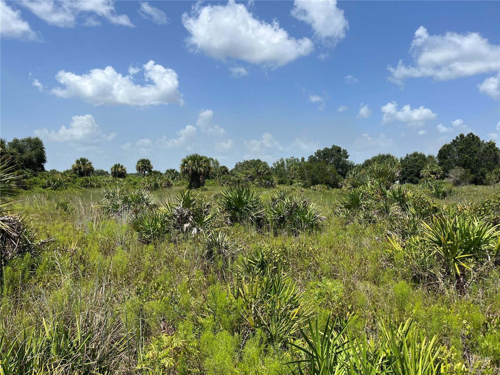 Okeechobee, Florida 34972, 0 , 0 ,0,Land,For Sale,278TH,0,OK223104