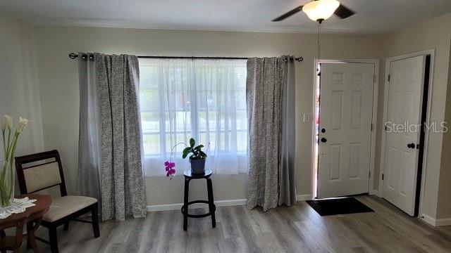 Beautiful extra large window in Living Room