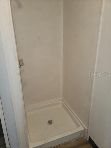 Master Bathroom shower