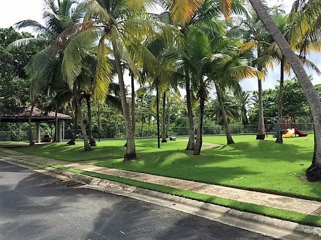 Community park