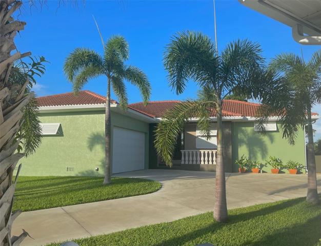 RECENTLY PAINTED A SOOTHING SHADE OF GREEN ...NOT A PALM FROND OUT OF PLACE HERE