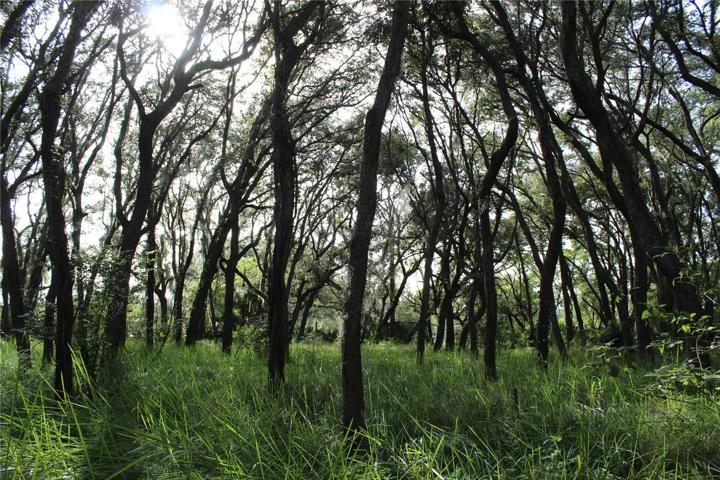 20 acre parcel