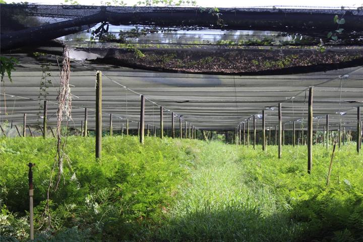 20 acre parcel