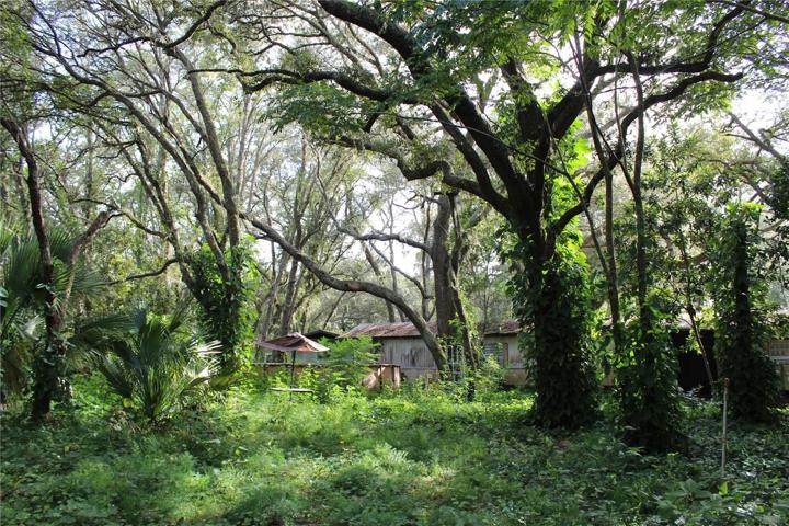 20 acres parcel