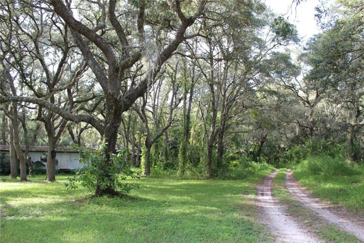 20 Acre Parcel