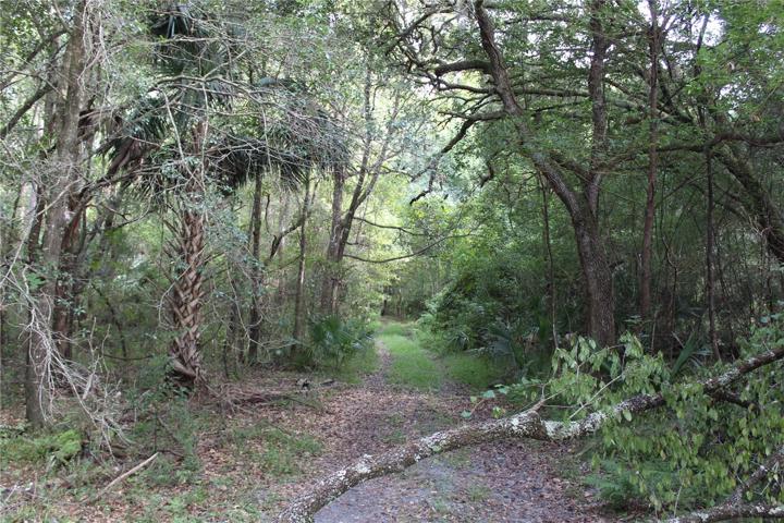 10 acre parcel