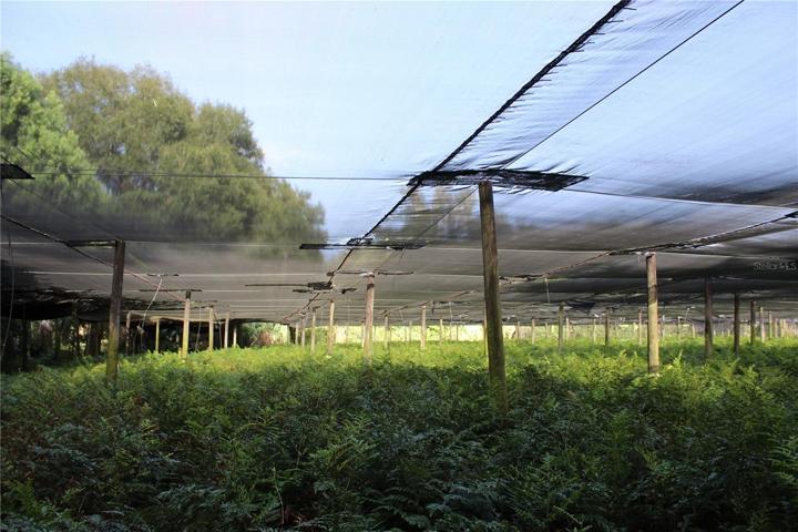20 acre parcel