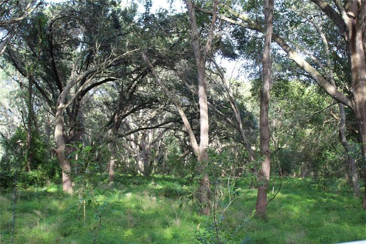 20 acre parcel