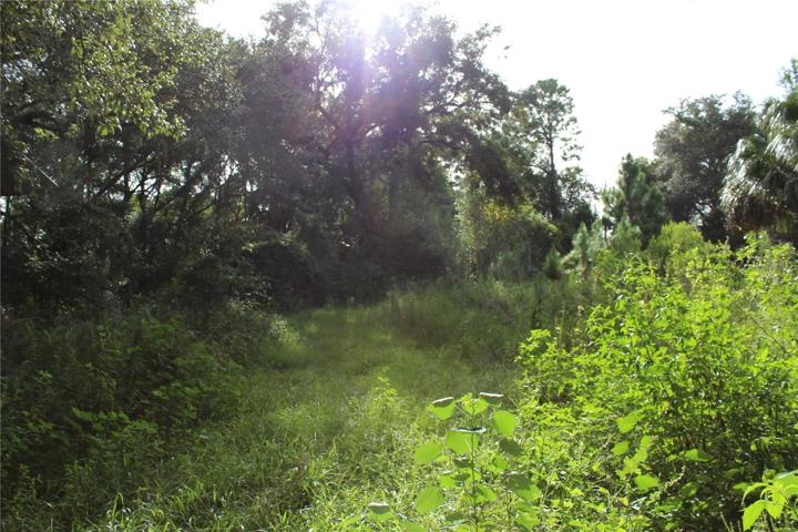20 acre parcel