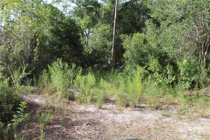 20 Acres parcel