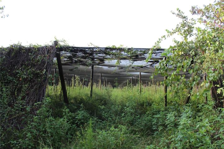10 acre parcel