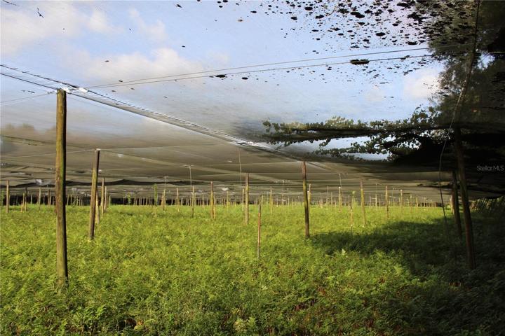 20 acre parcel