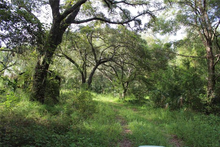 20 acre parcel