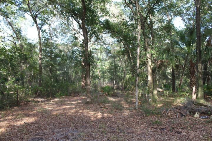10 Acres Parcel