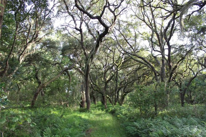 10 acre parcel