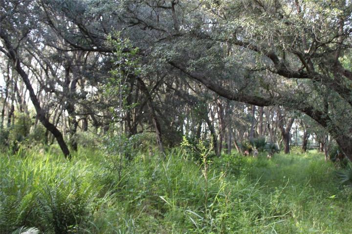 20 acre parcel