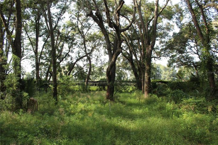 20 acre parcel