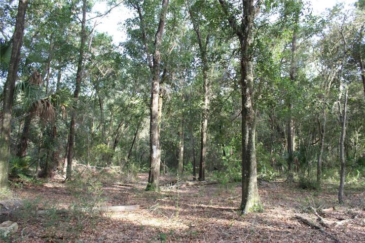 10 Acre Parcel