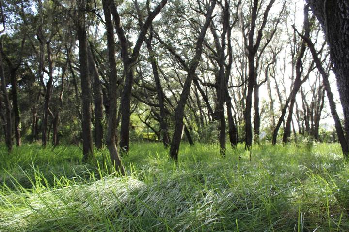 20 acre parcel