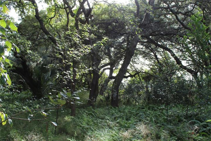 20 acre parcel