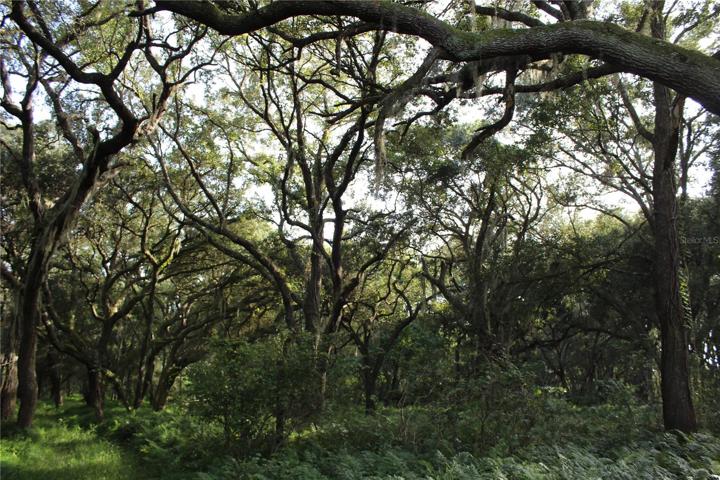 10 acre parcel