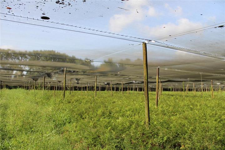 20 acre parcel