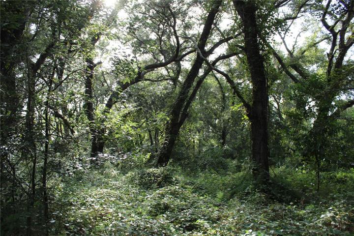 20 acre parcel