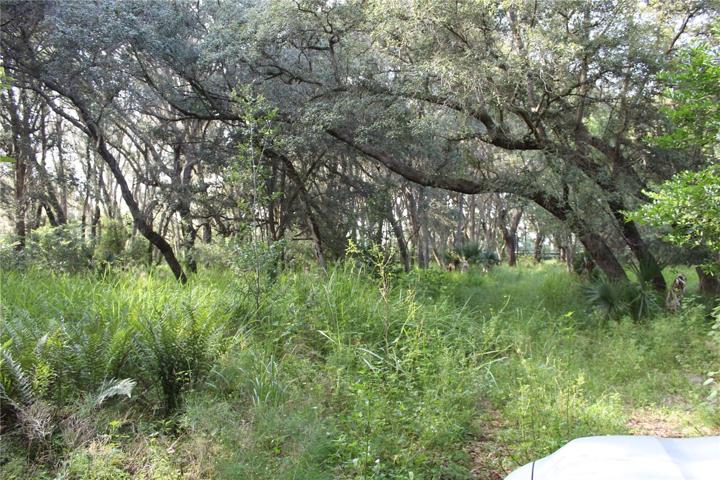 20 acre parcel
