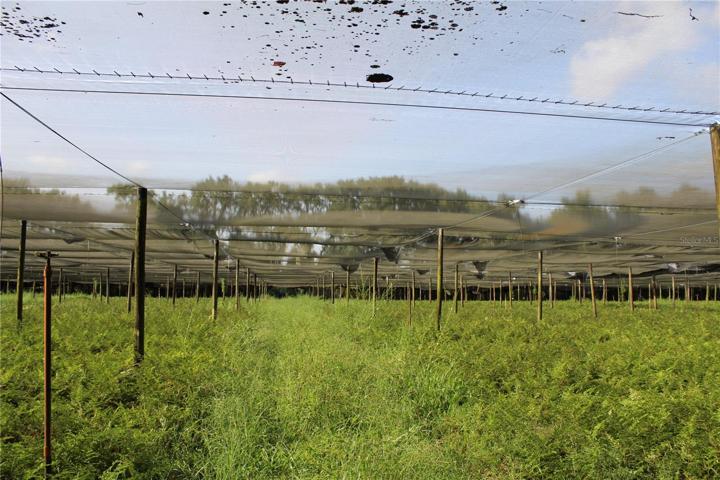 20 acre parcel