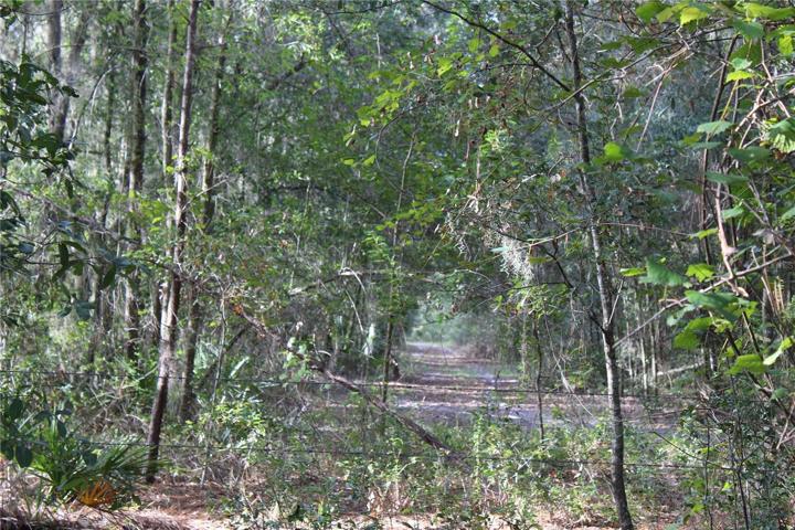 10 acre parcel