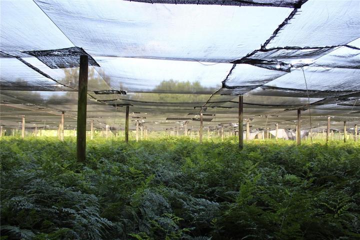 20 acre parcel
