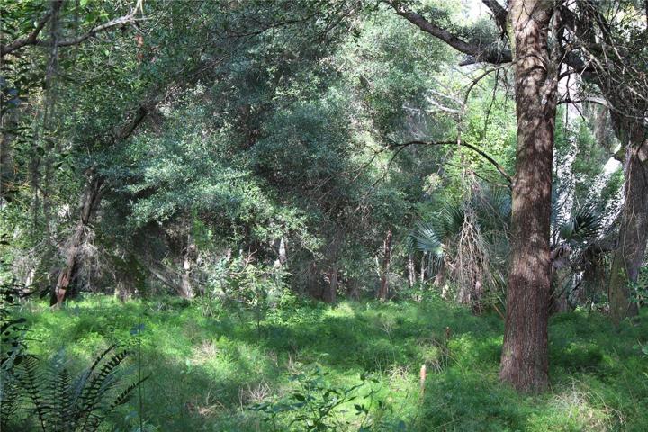 20 acre parcel
