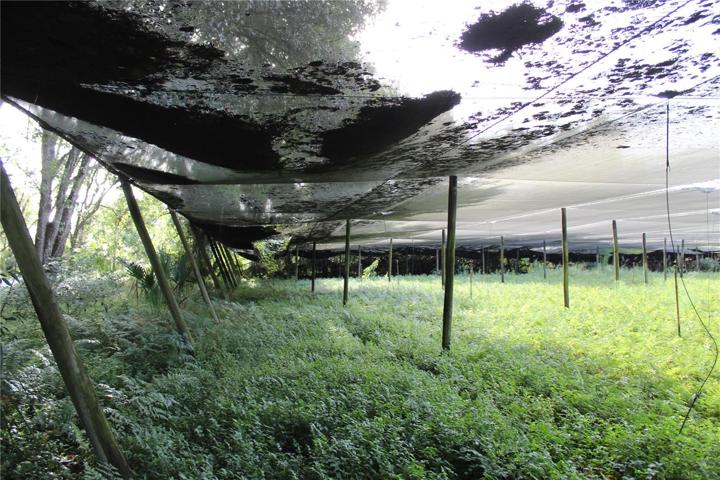 20 acre parcel