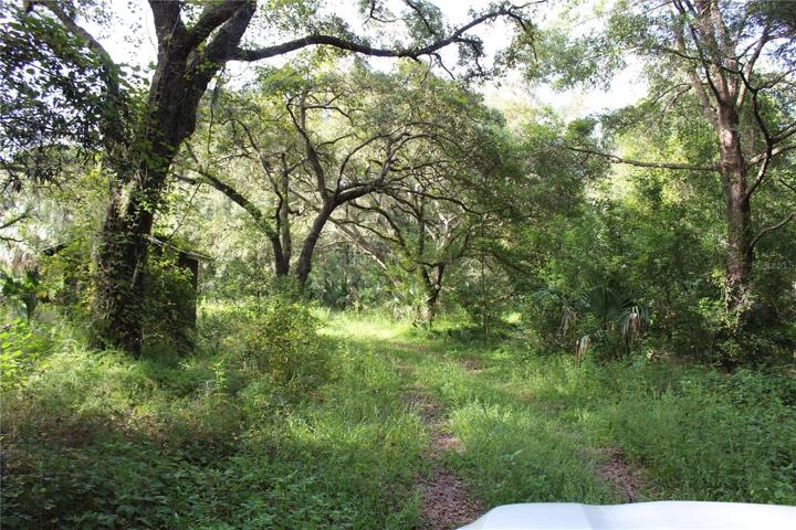 20 acre parcel
