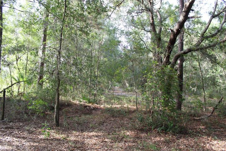 10 Acre Parcel