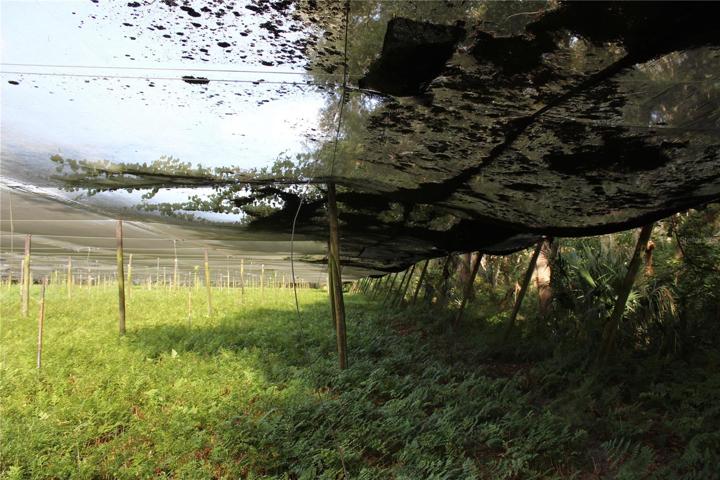 20 acre parcel