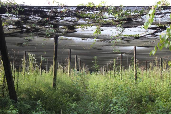 10 acre parcel