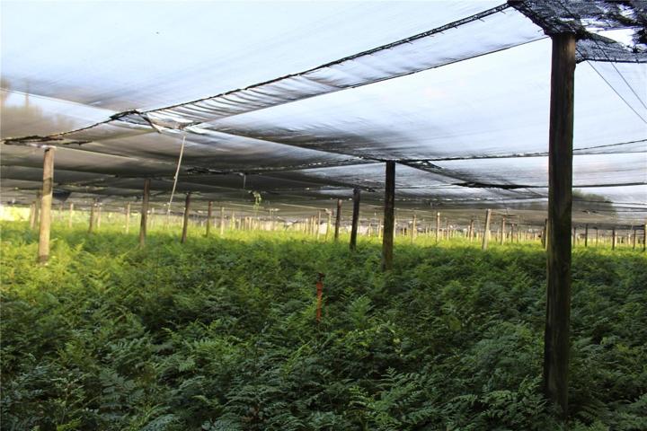 20 acre parcel
