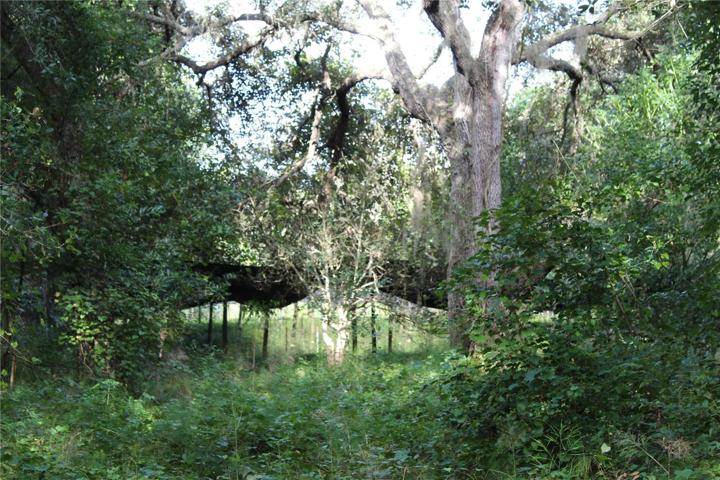 20 acre parcel