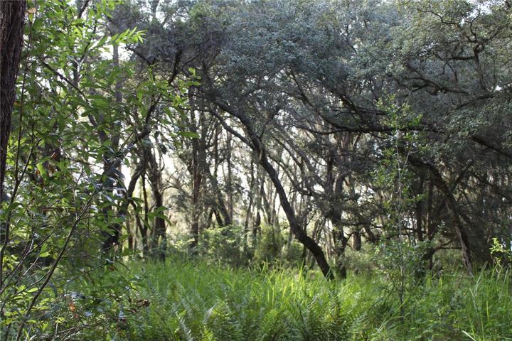 20 acre parcel