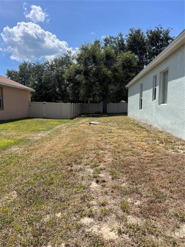 Left Side of house