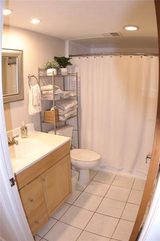 Guest Bathroom 2