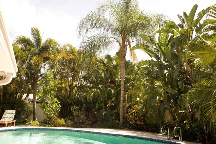 Your Backyard Tropical Escape
