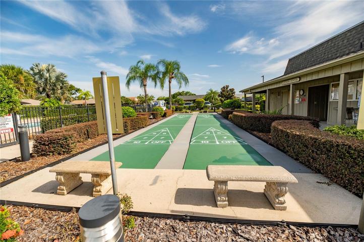 Shuffleboard!