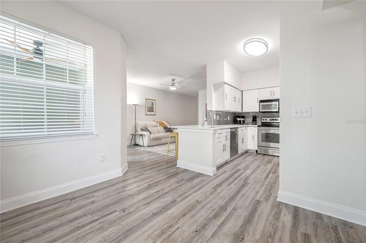 Dining room/office